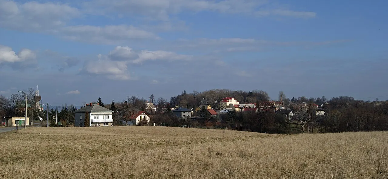 Płaza (widok z płd zach), powiat chrzanowski, Małopolska