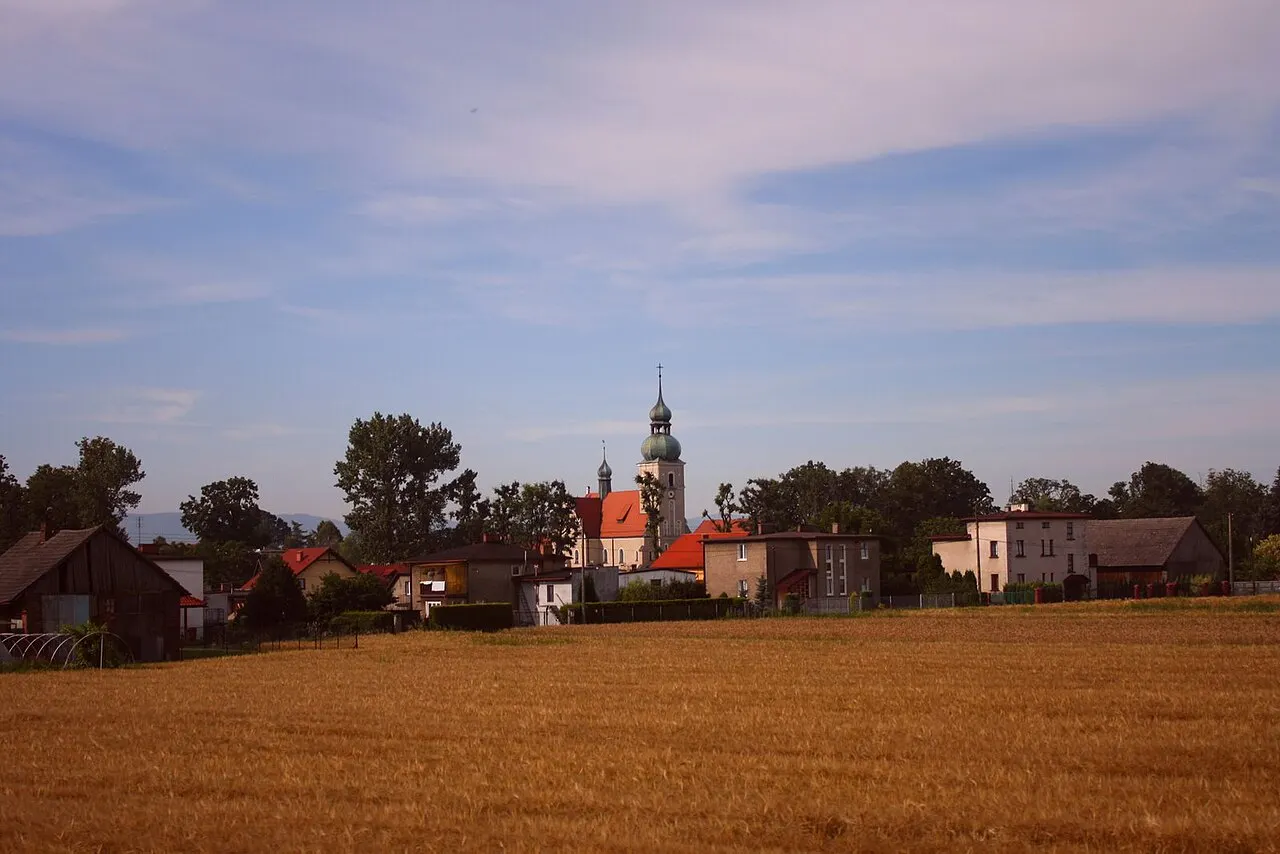 Goczałkowice-Zdrój (woj. Śląskie) widok ogólny wsi z kościołem