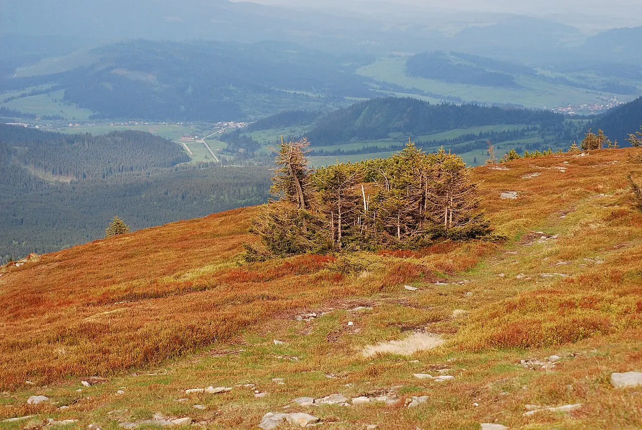 Zdjęcie: Jeleśnia (śląskie)