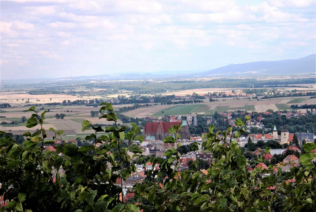 Strzegom, miasto