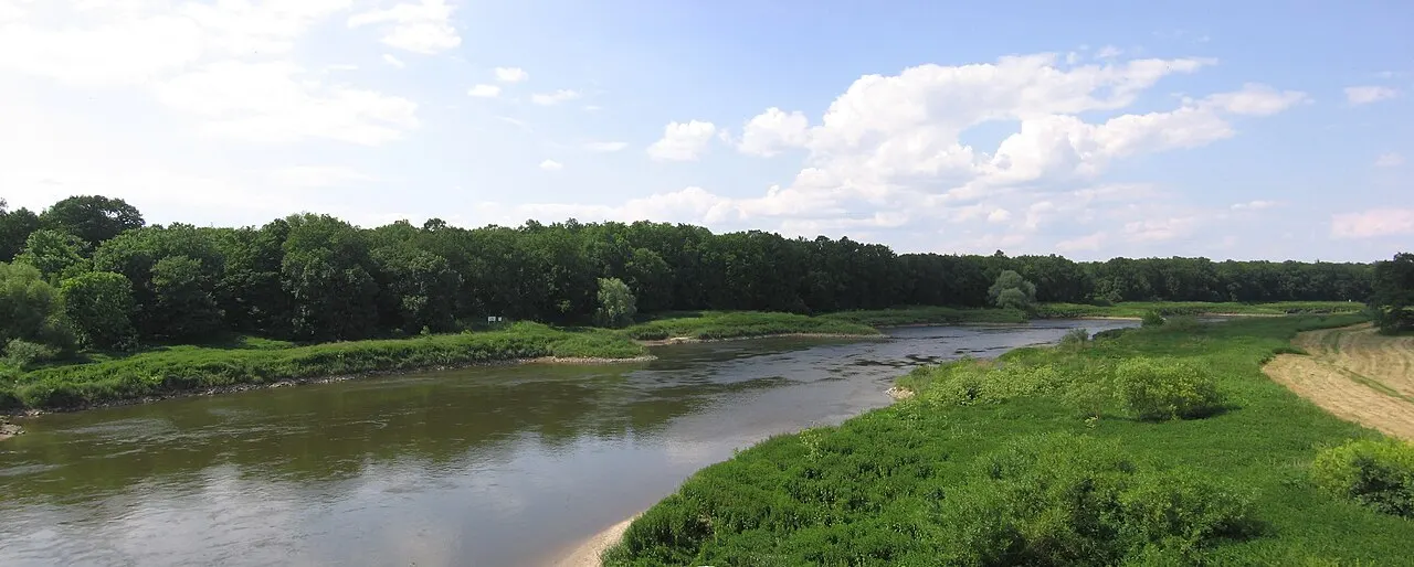 Odra widziana z z drogi nr 338 obok mostu przez rzekę, z prawego brzegu (gmina Wołów)